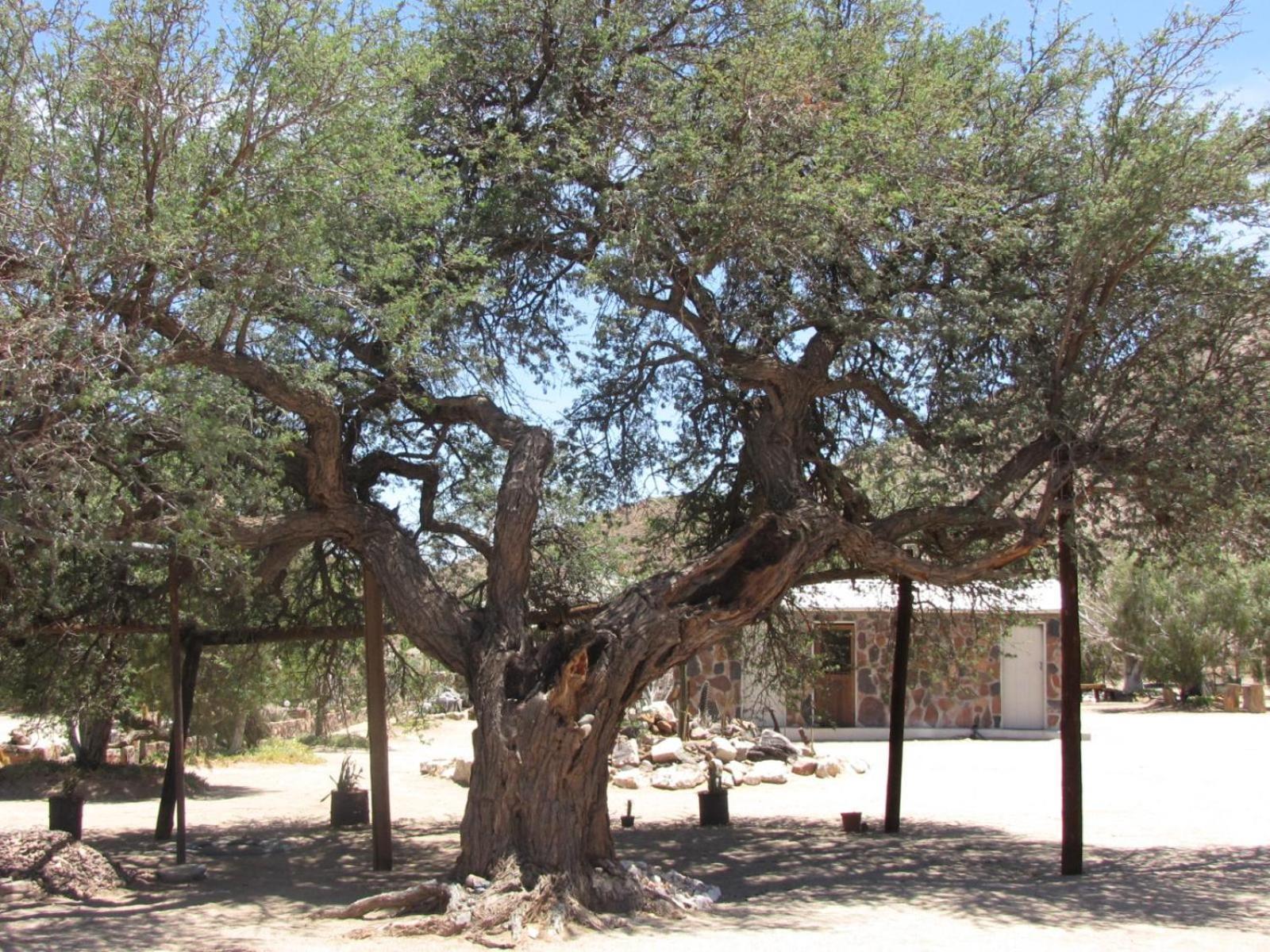 Mount Canyon Guest Farm Keetmanshoop Exteriör bild